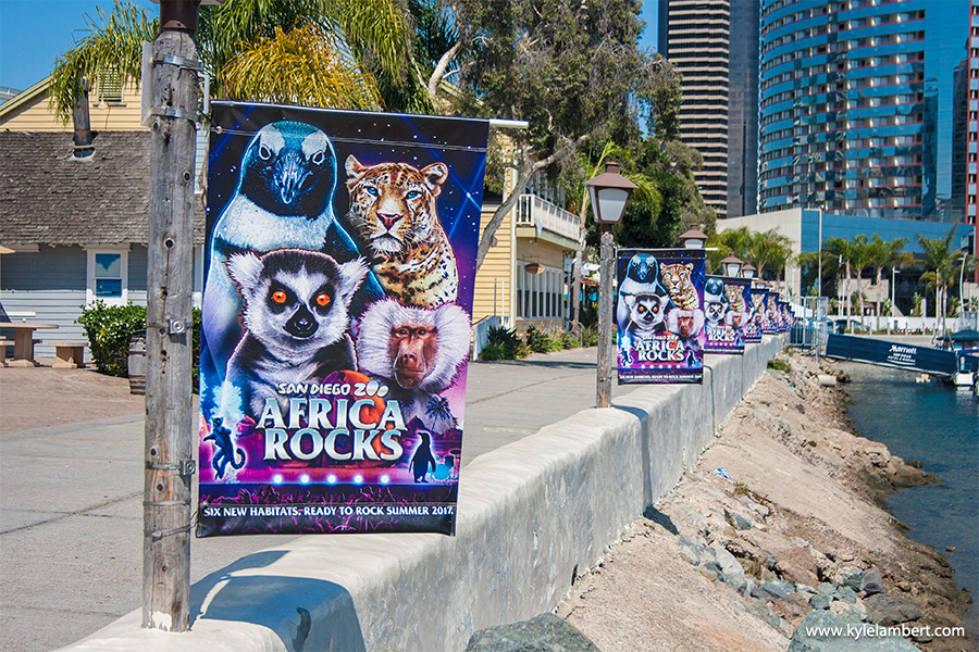 Africa Rocks San Diego Zoo - Sea-front Banners