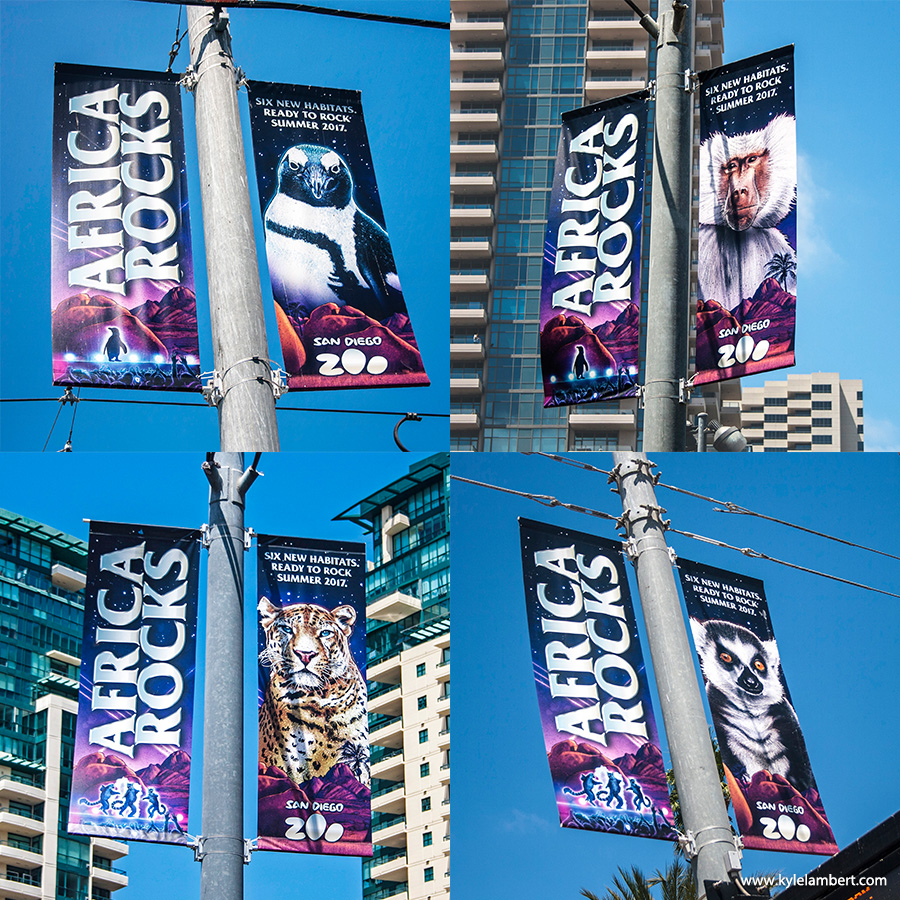 Africa Rocks San Diego Zoo - Convention Center Banners