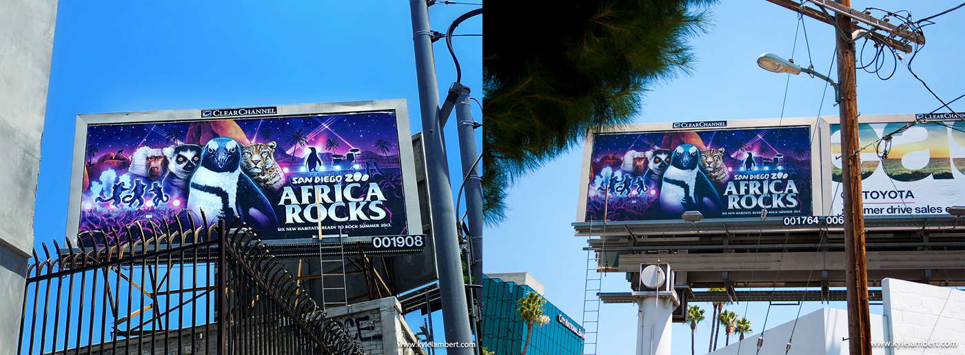 Africa Rocks San Diego Zoo Billboard 2